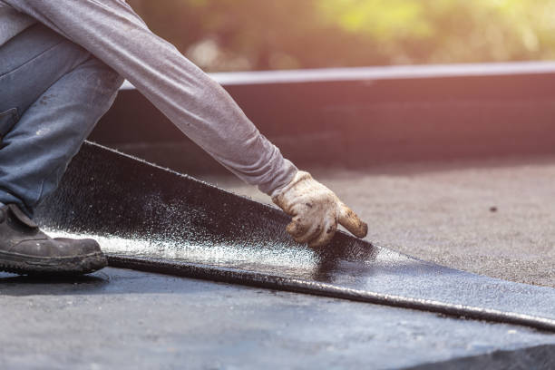 Professional Interior Drainage System technician working in Albion, IL